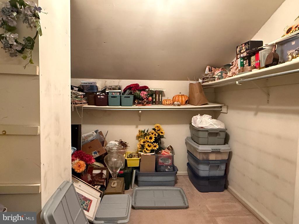 6 BUCKTHORN COURT