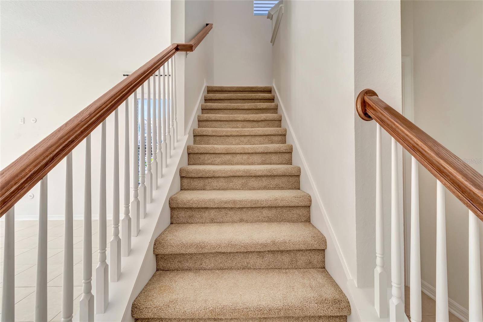 1077 FOUNTAIN COIN LOOP