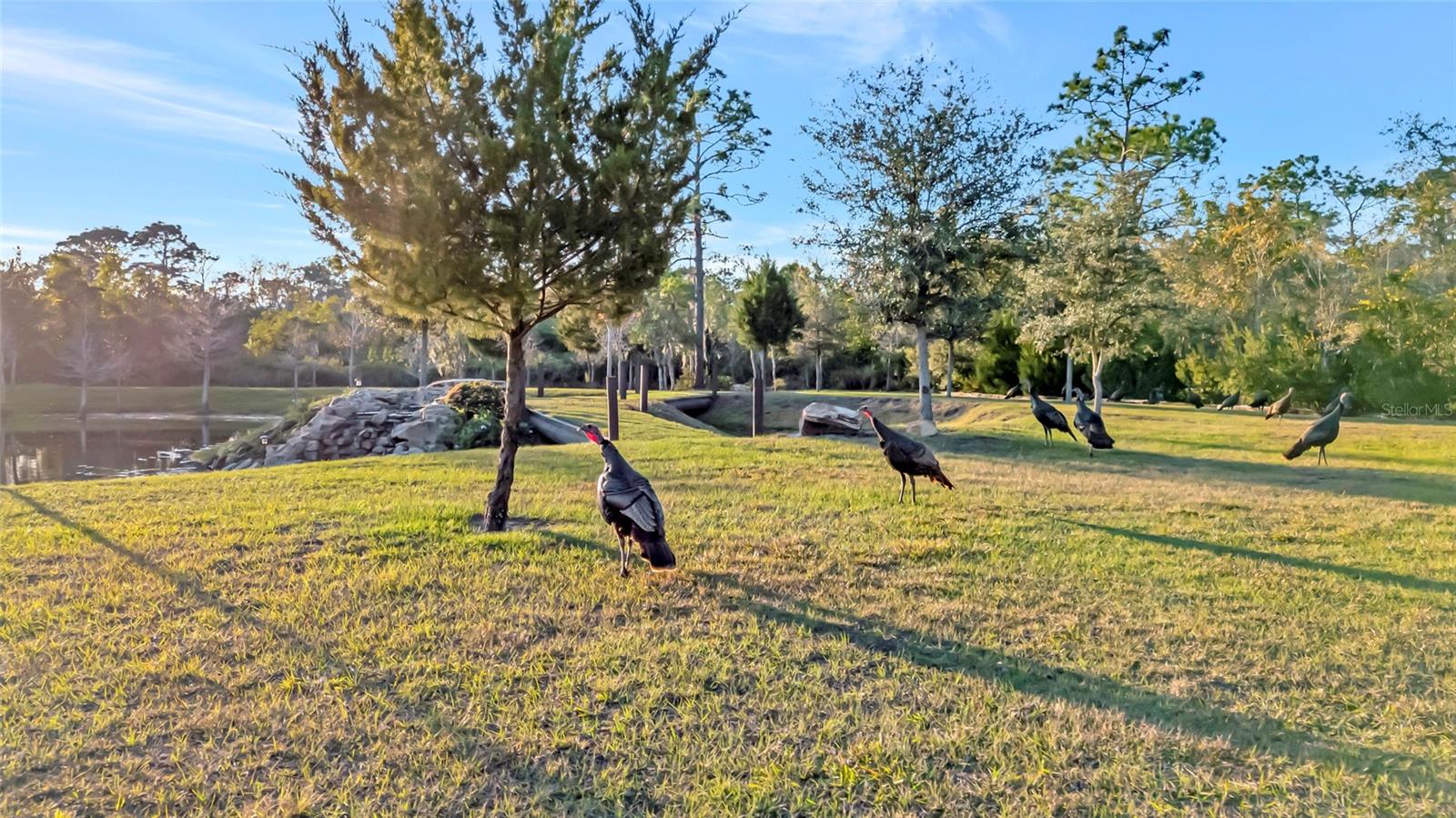7330 CRABGRASS RD