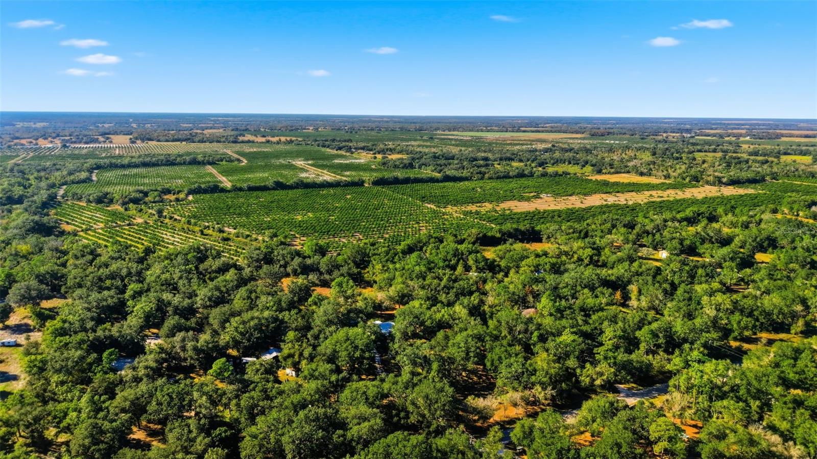 1135 NW PINE CREEK AVE