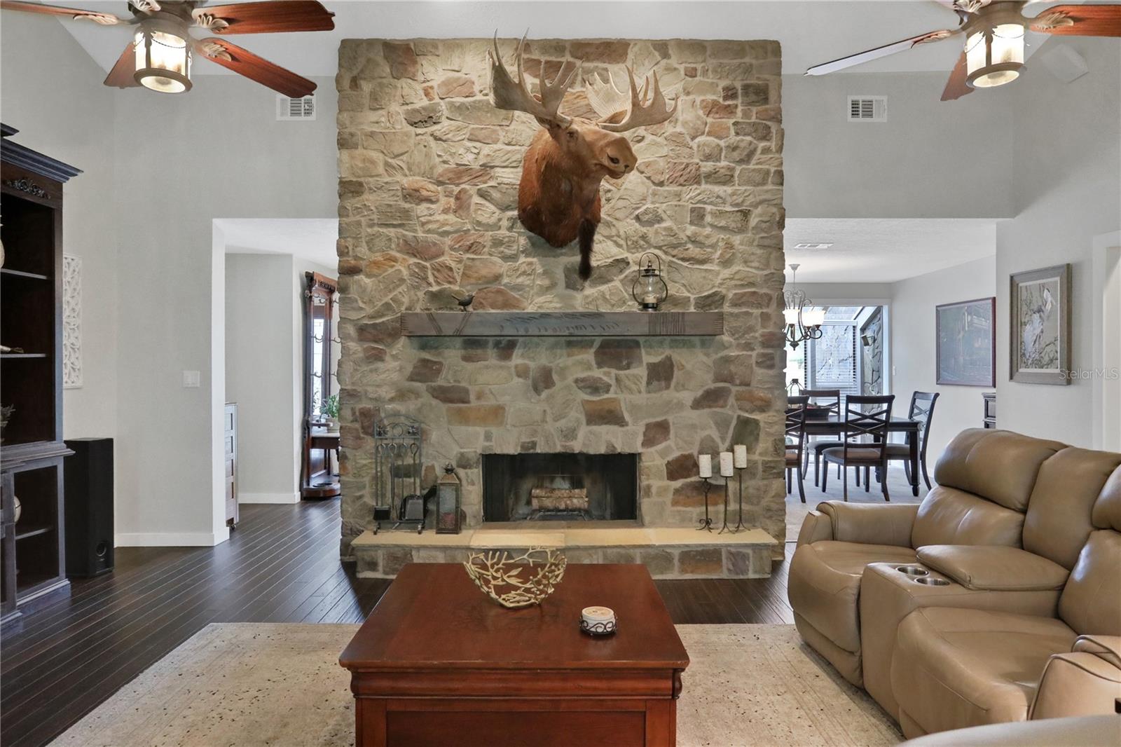 700 BEAR SHADOW CT