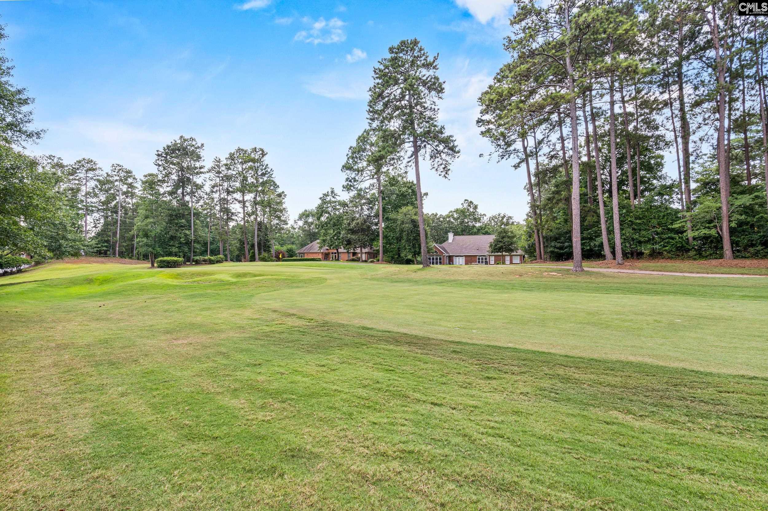 104 Birkdale Court