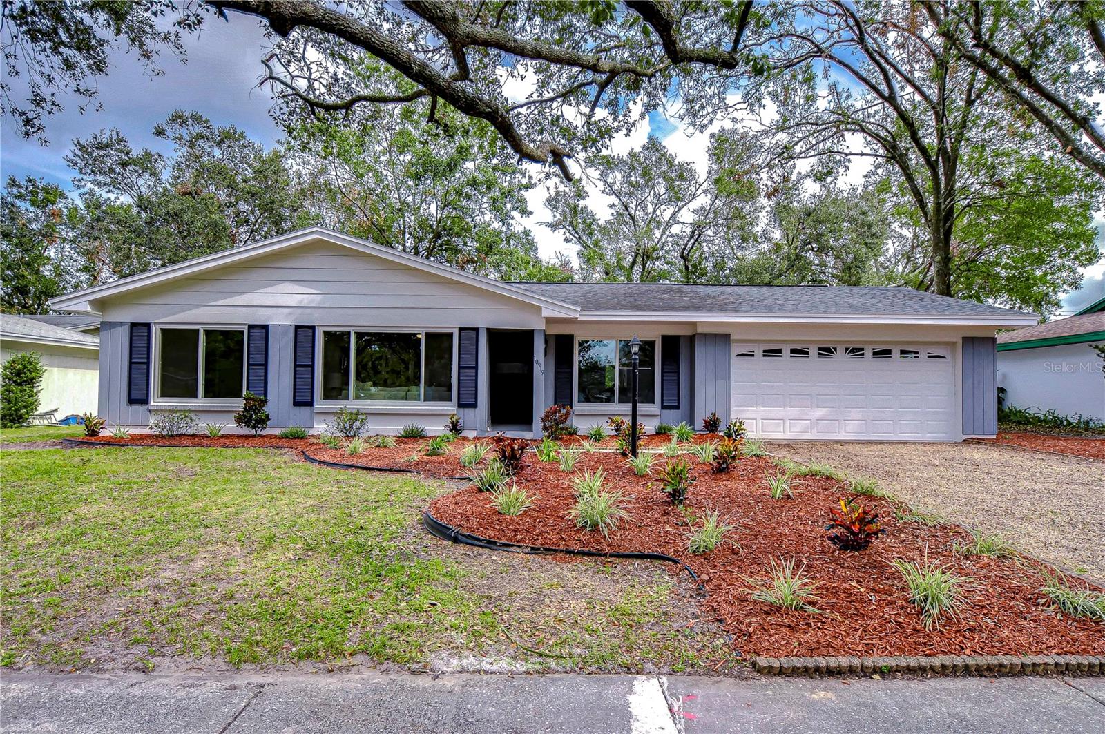 10919 ORANGE GROVE DR