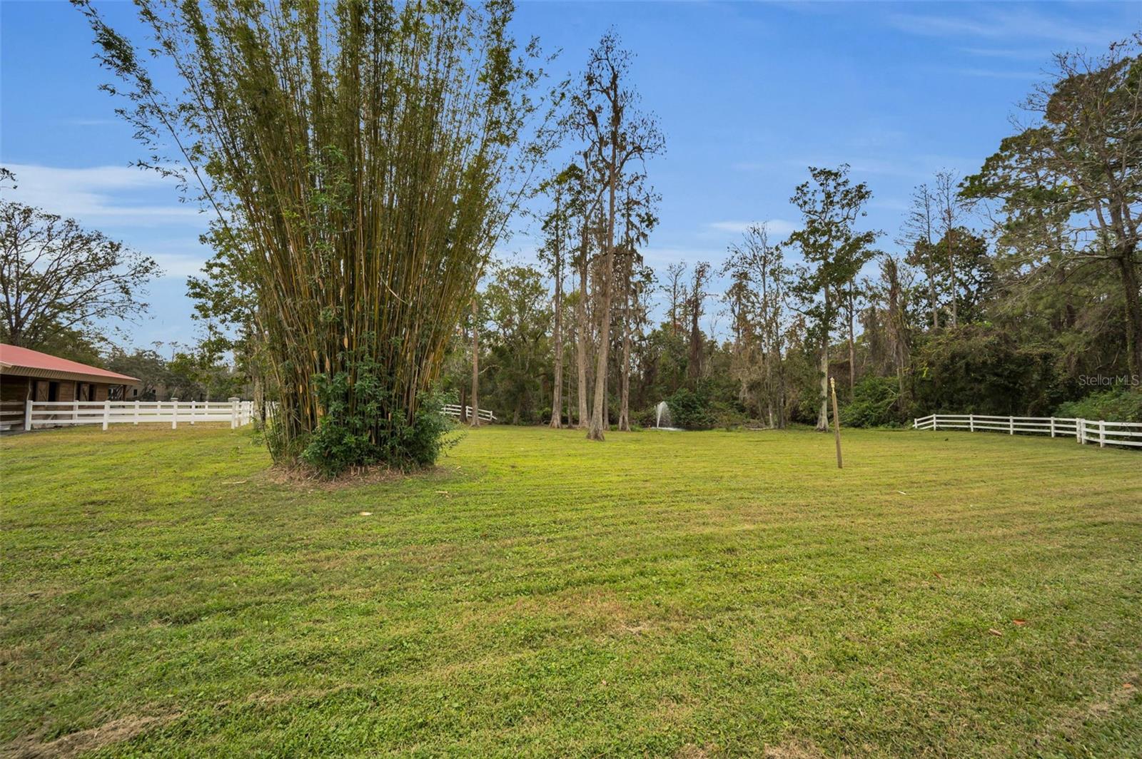 249 DOGWOOD TRCE