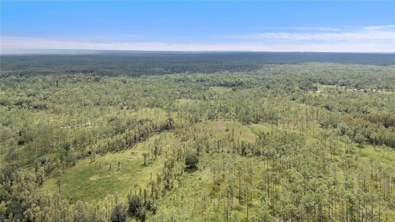 10209 WATERSIDE OAKS DR