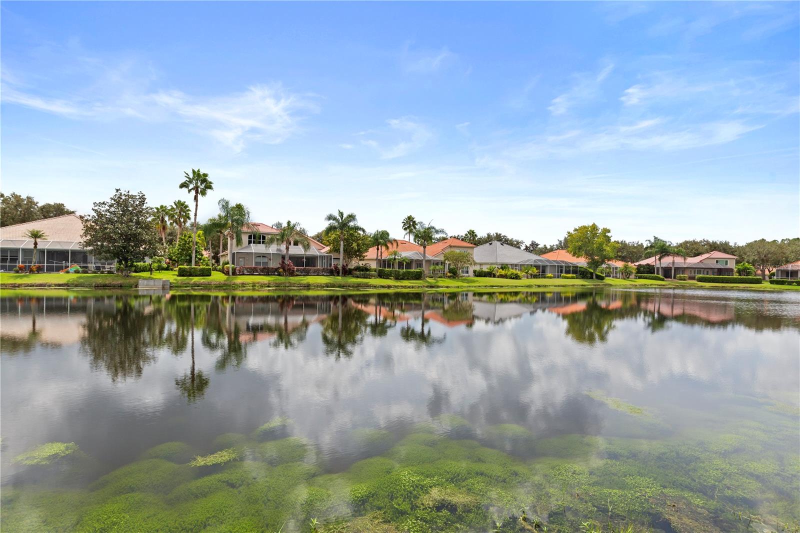 10209 WATERSIDE OAKS DR