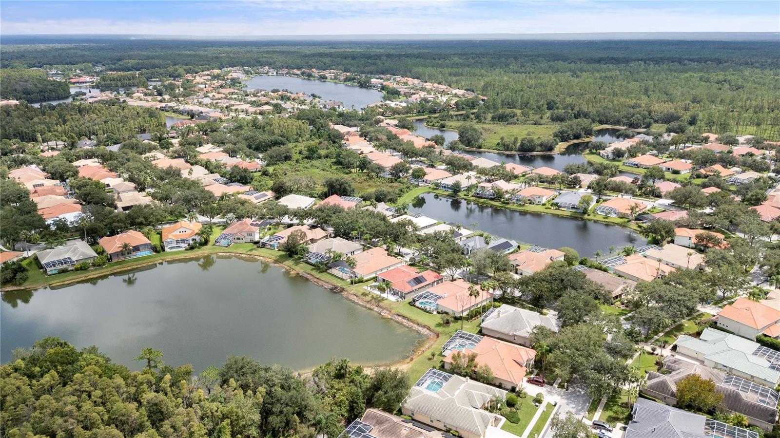 10209 WATERSIDE OAKS DR