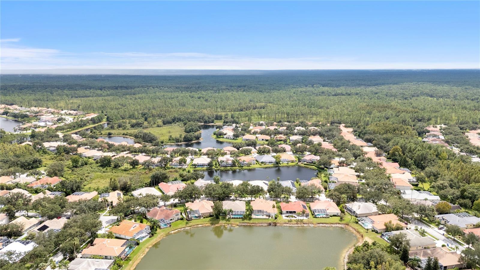 10209 WATERSIDE OAKS DR