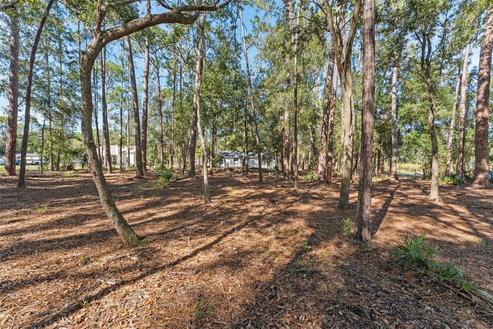 27944 GREEN WILLOW RUN