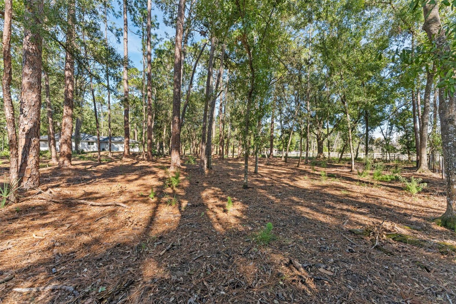 27944 GREEN WILLOW RUN