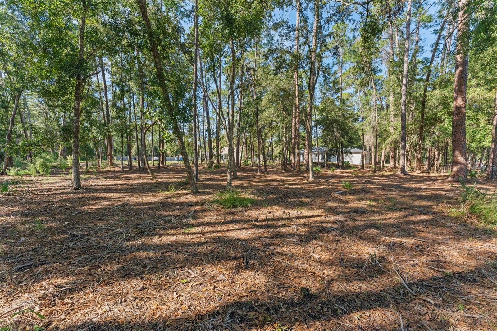 27944 GREEN WILLOW RUN