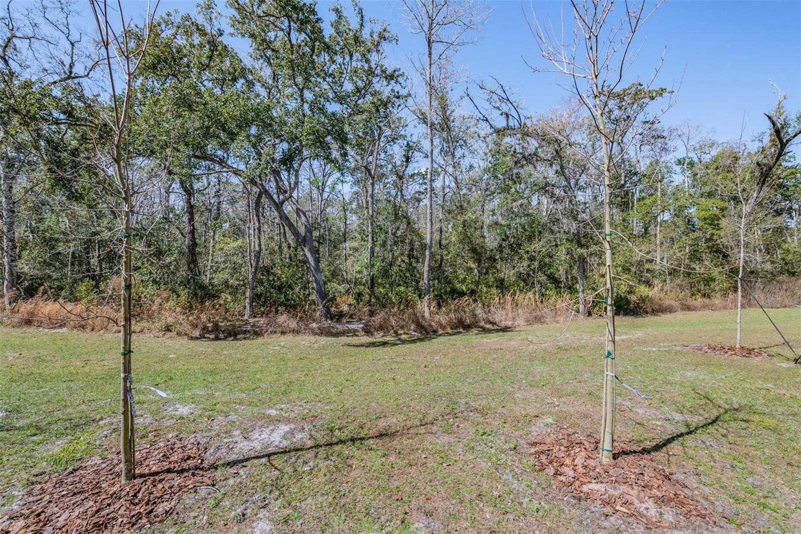 11123 WISHING CLOUD RD