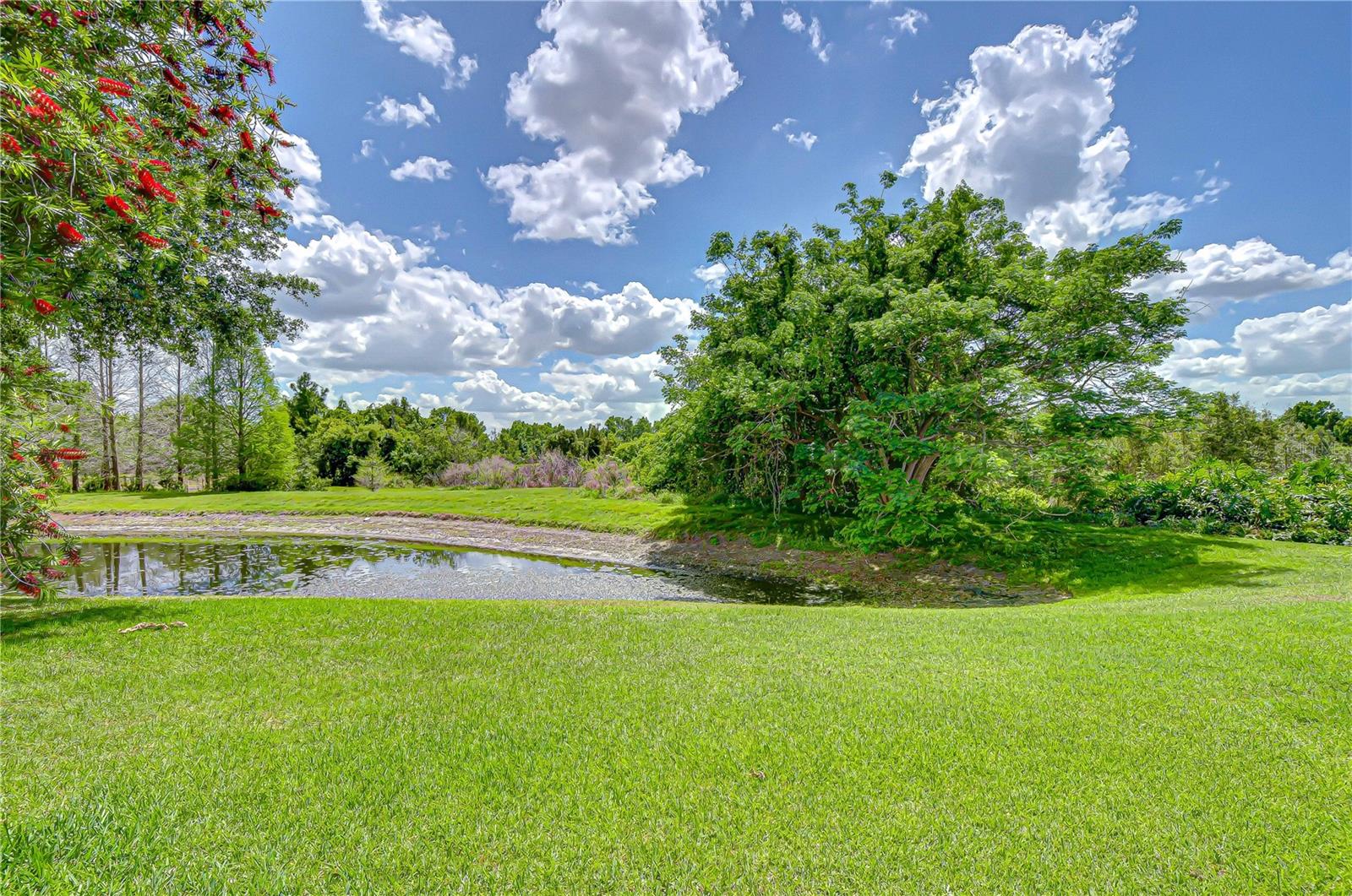 21338 LAKE VIENNA DRIVE DR