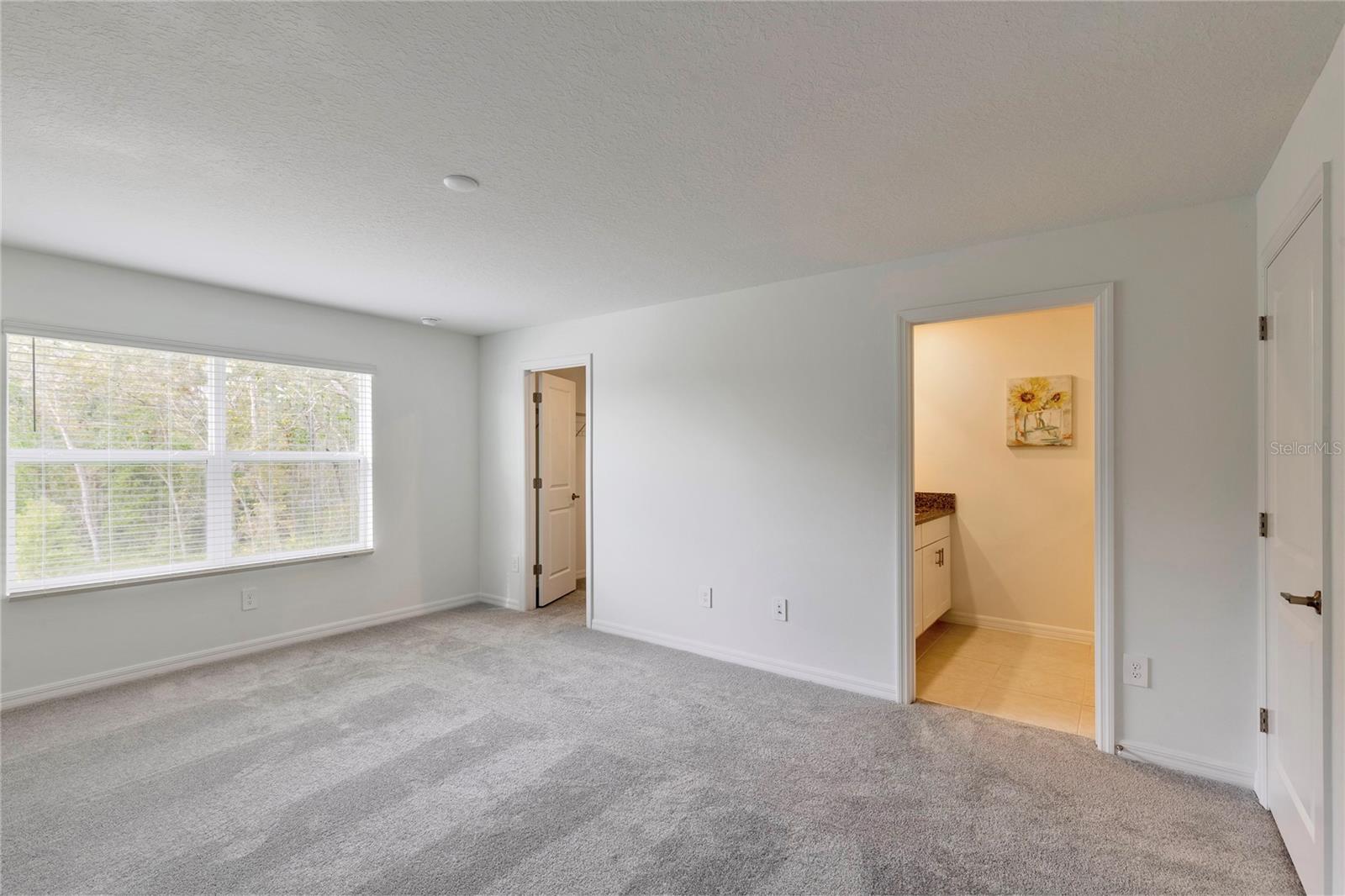 11091 WISHING CLOUD RD