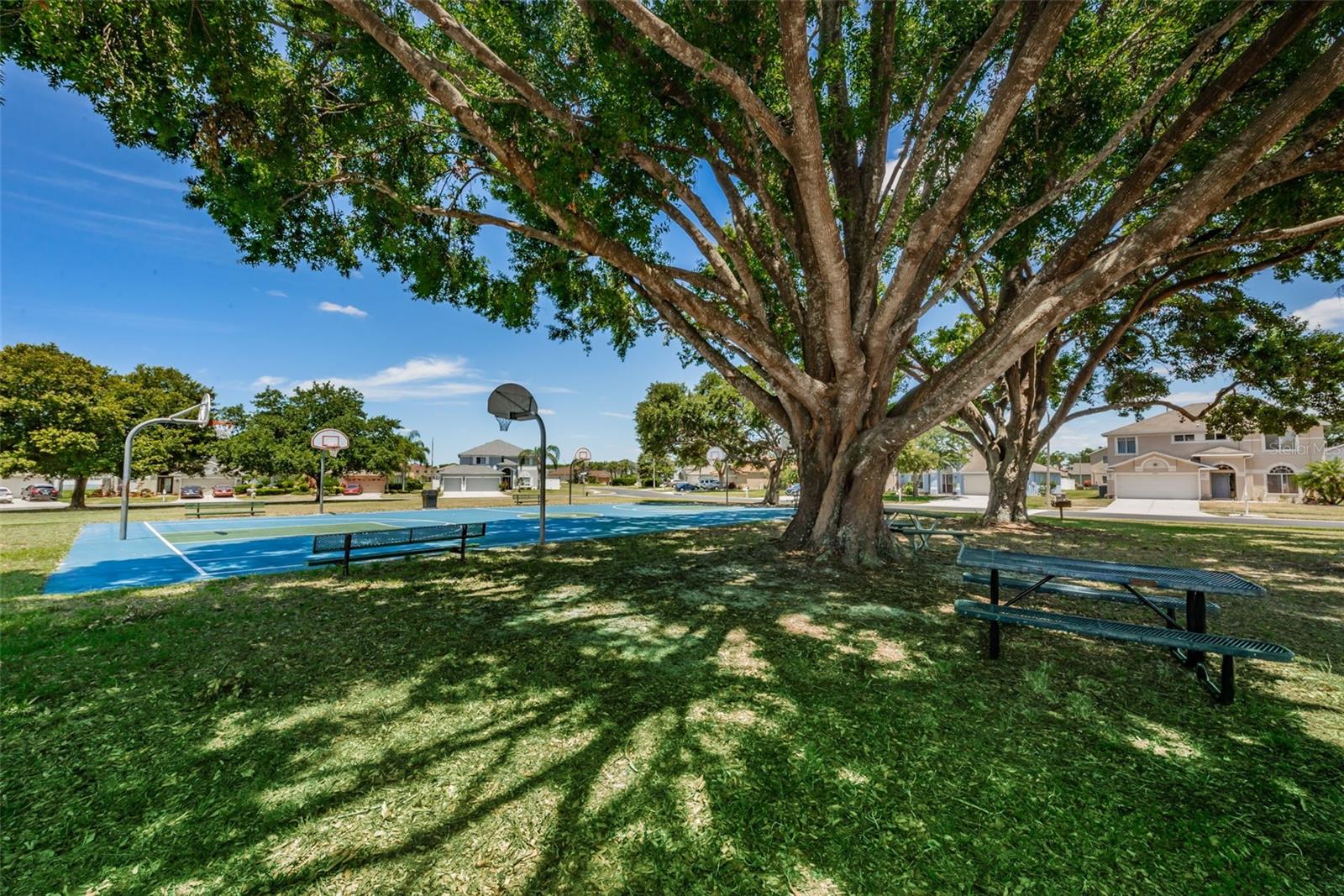 25841 CRIPPEN DR