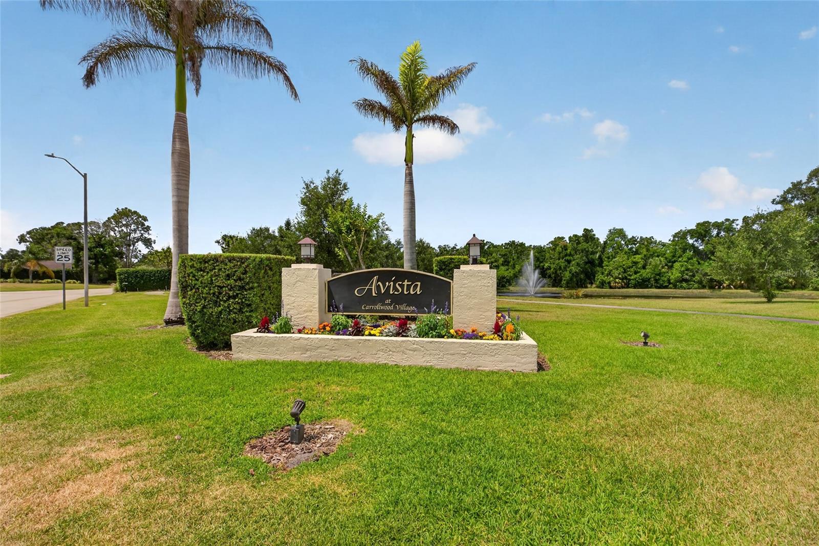 13522 AVISTA DR