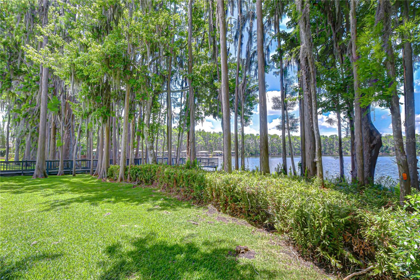 20915 LAKE VIENNA DR