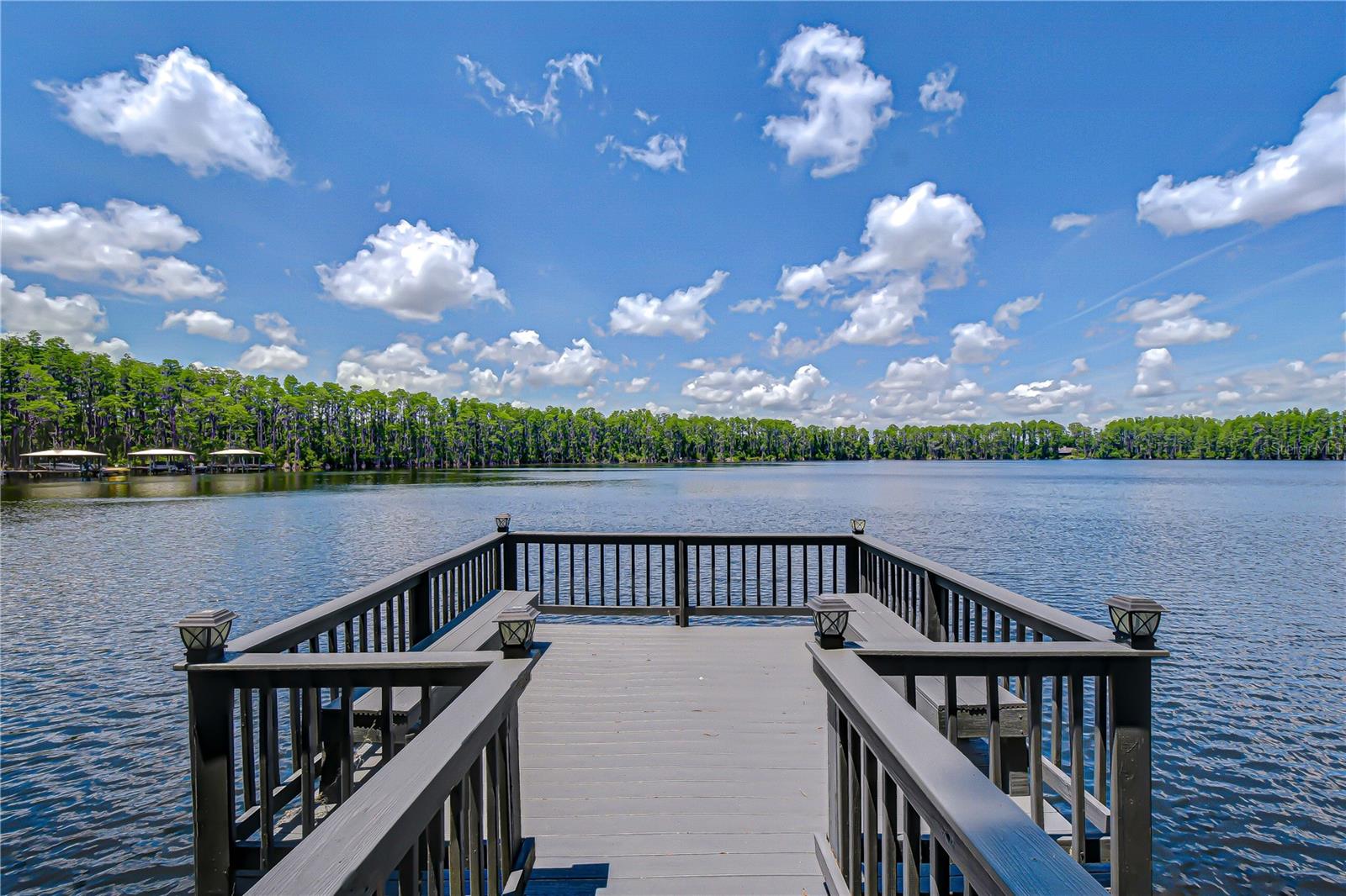 20915 LAKE VIENNA DR