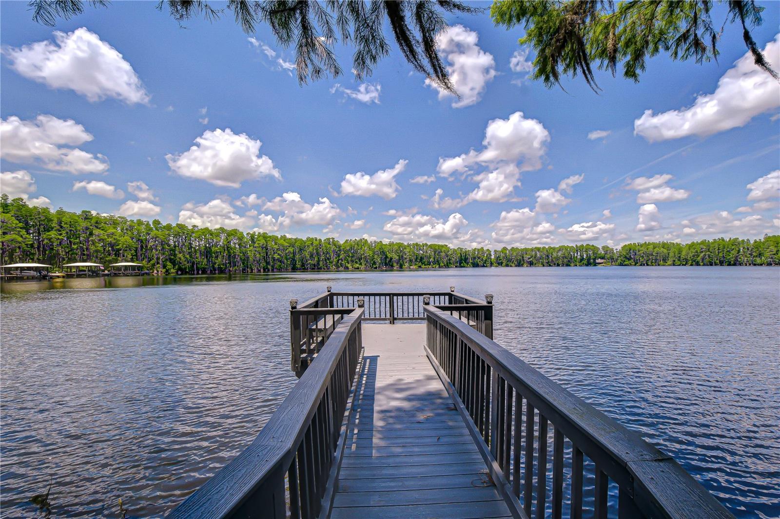 20915 LAKE VIENNA DR