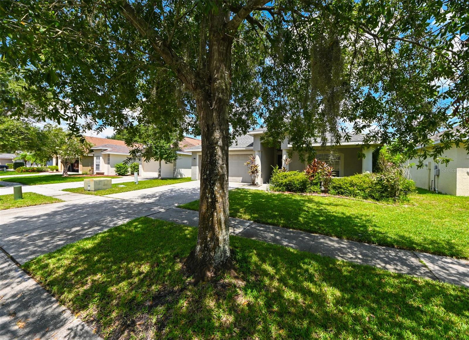 4517 WILD PLUM LN