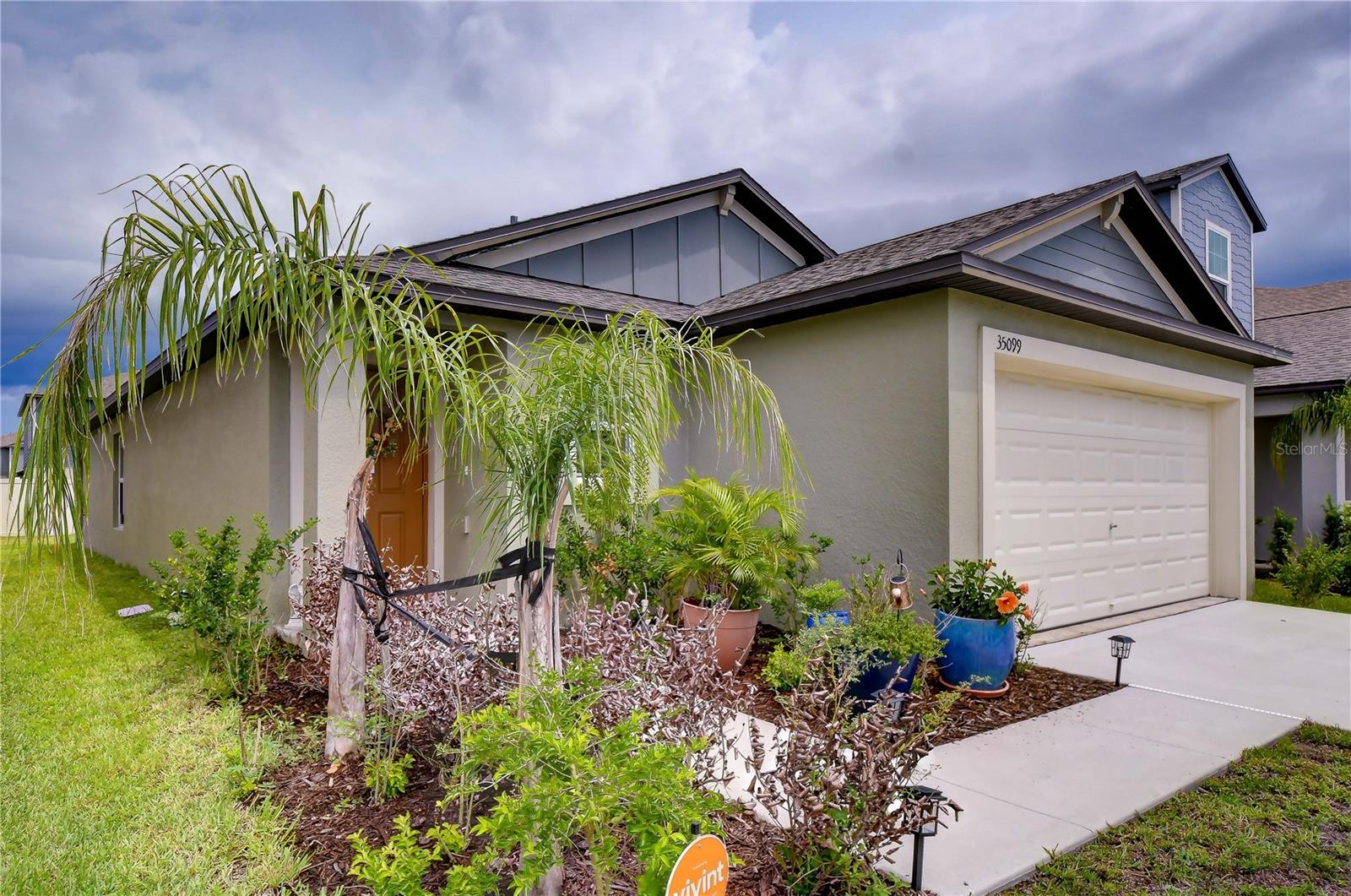 35099 ACKLEY TRCE