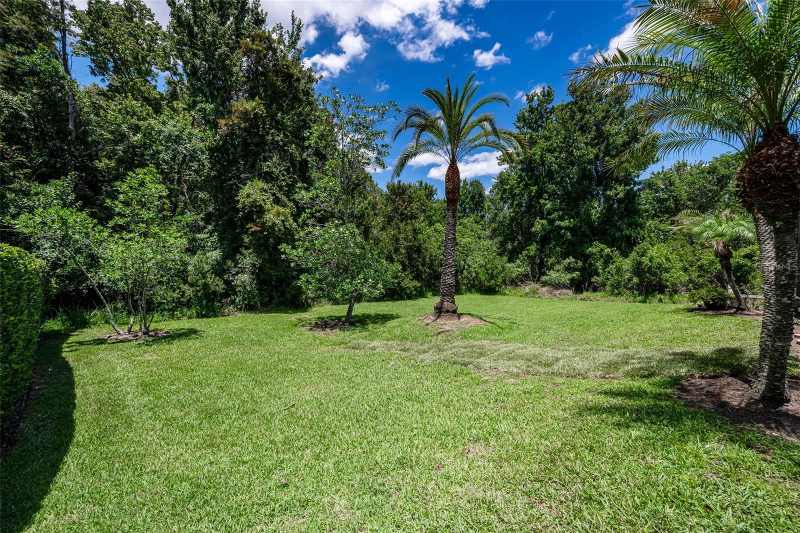 16207 RAMBLING RD