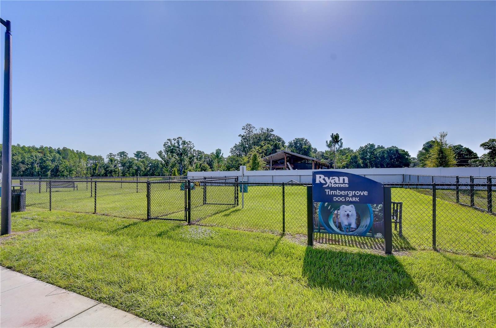 20253 LOU ANGELA LN