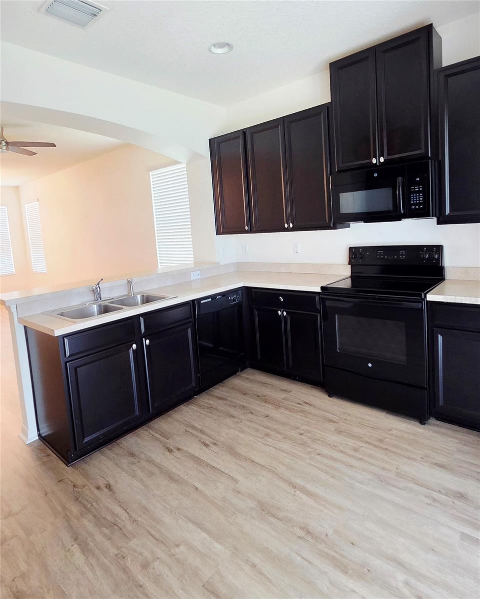 8821 WALNUT GABLE CT