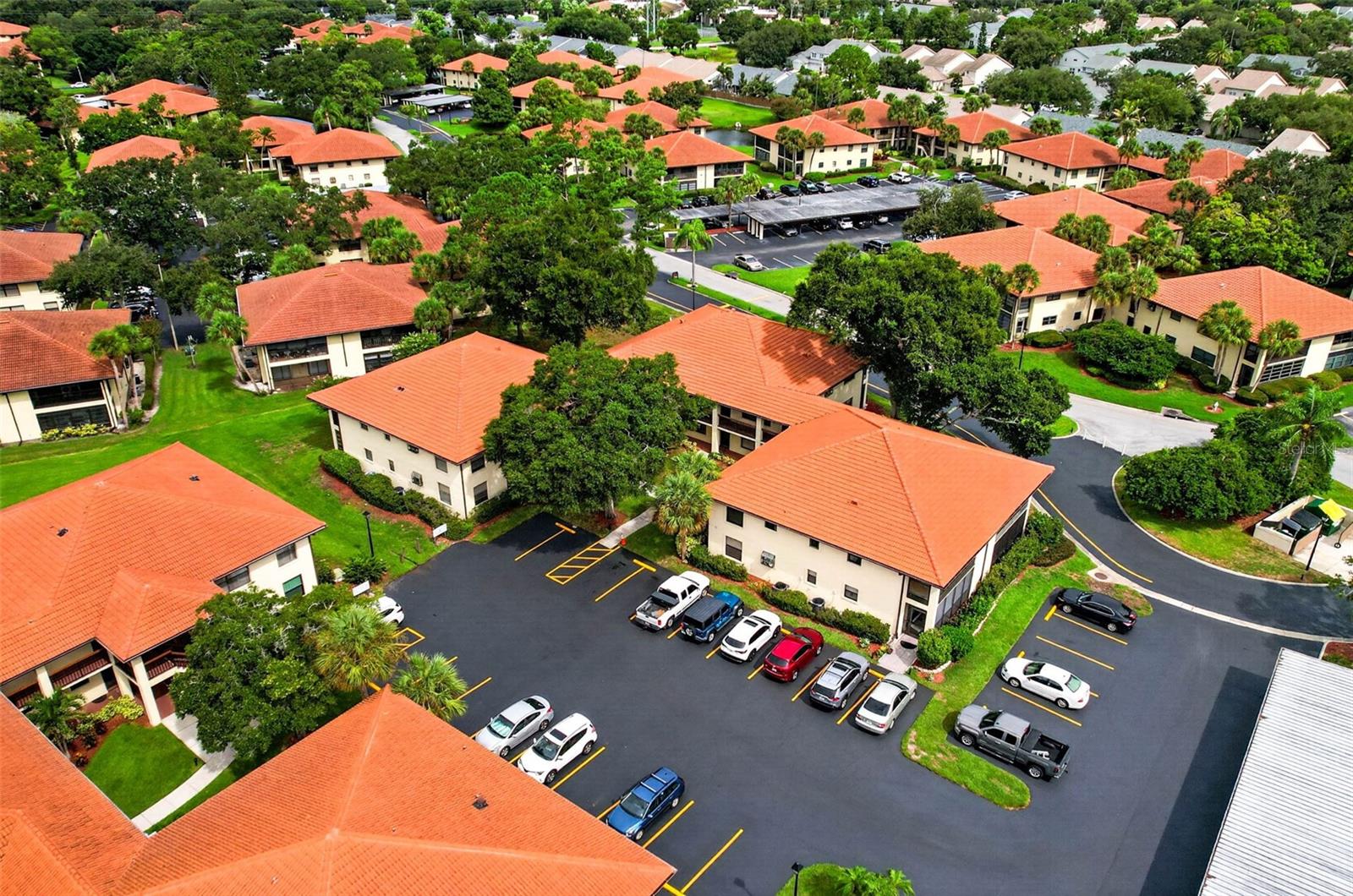 1709 HAMMOCK PINE BLVD #1709