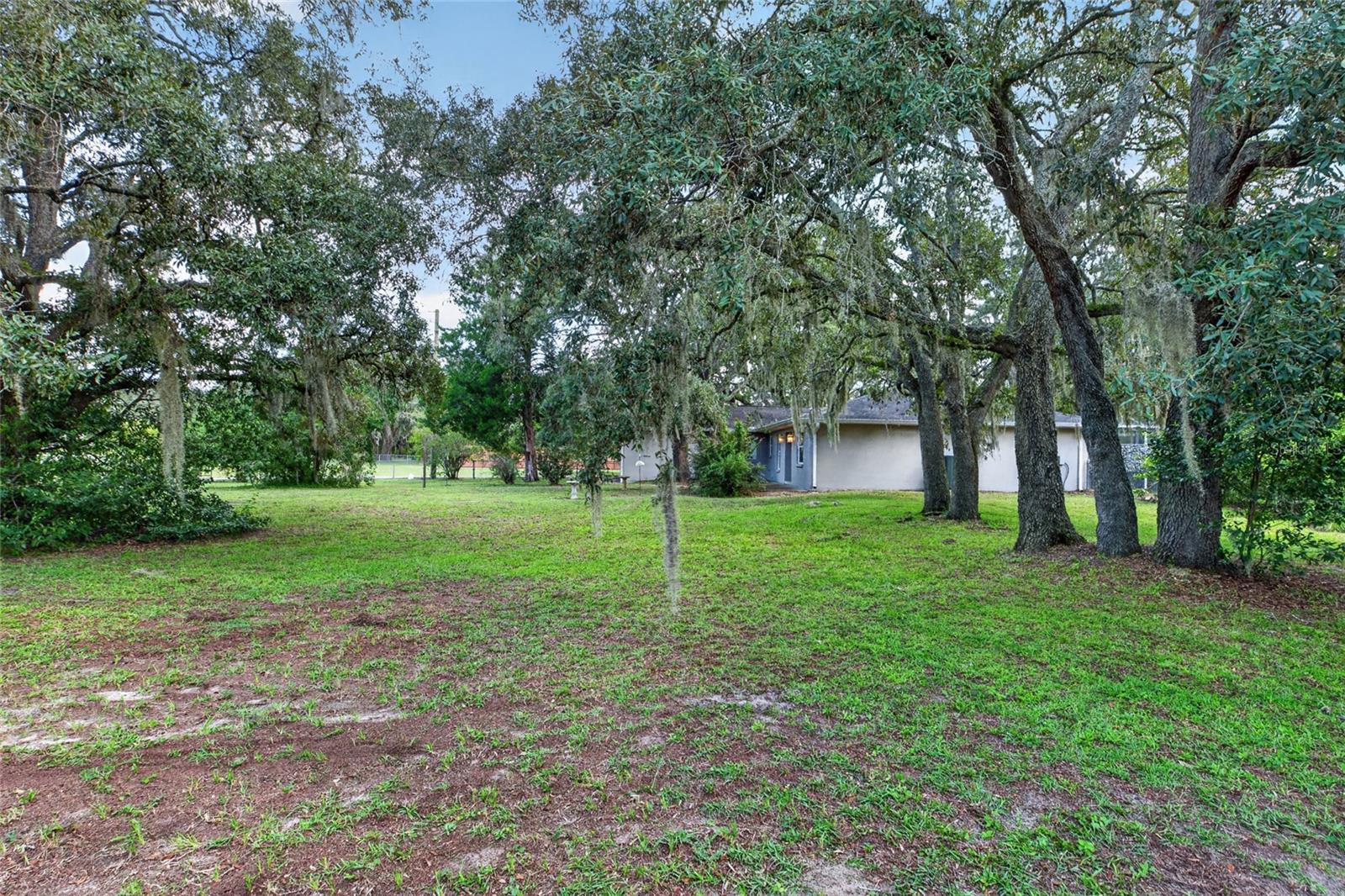 15620 HAYS RD