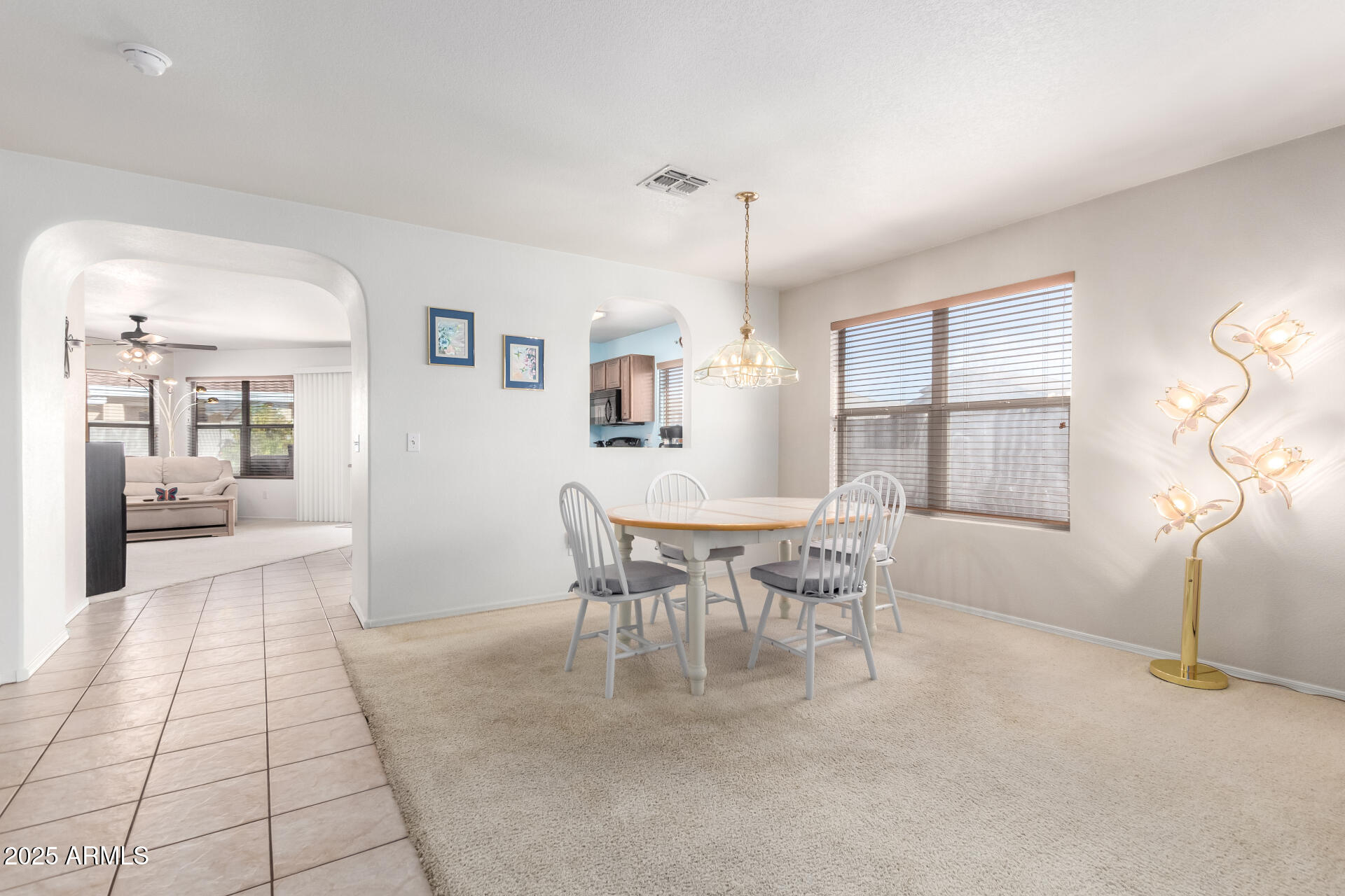 10510 W LOUISE Drive
