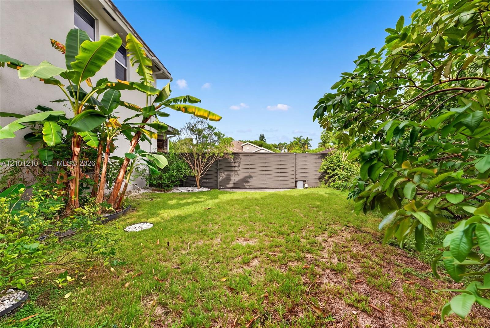 Backyard lawn with tropical banana plants, leafy greenery, and a dark privacy fence.