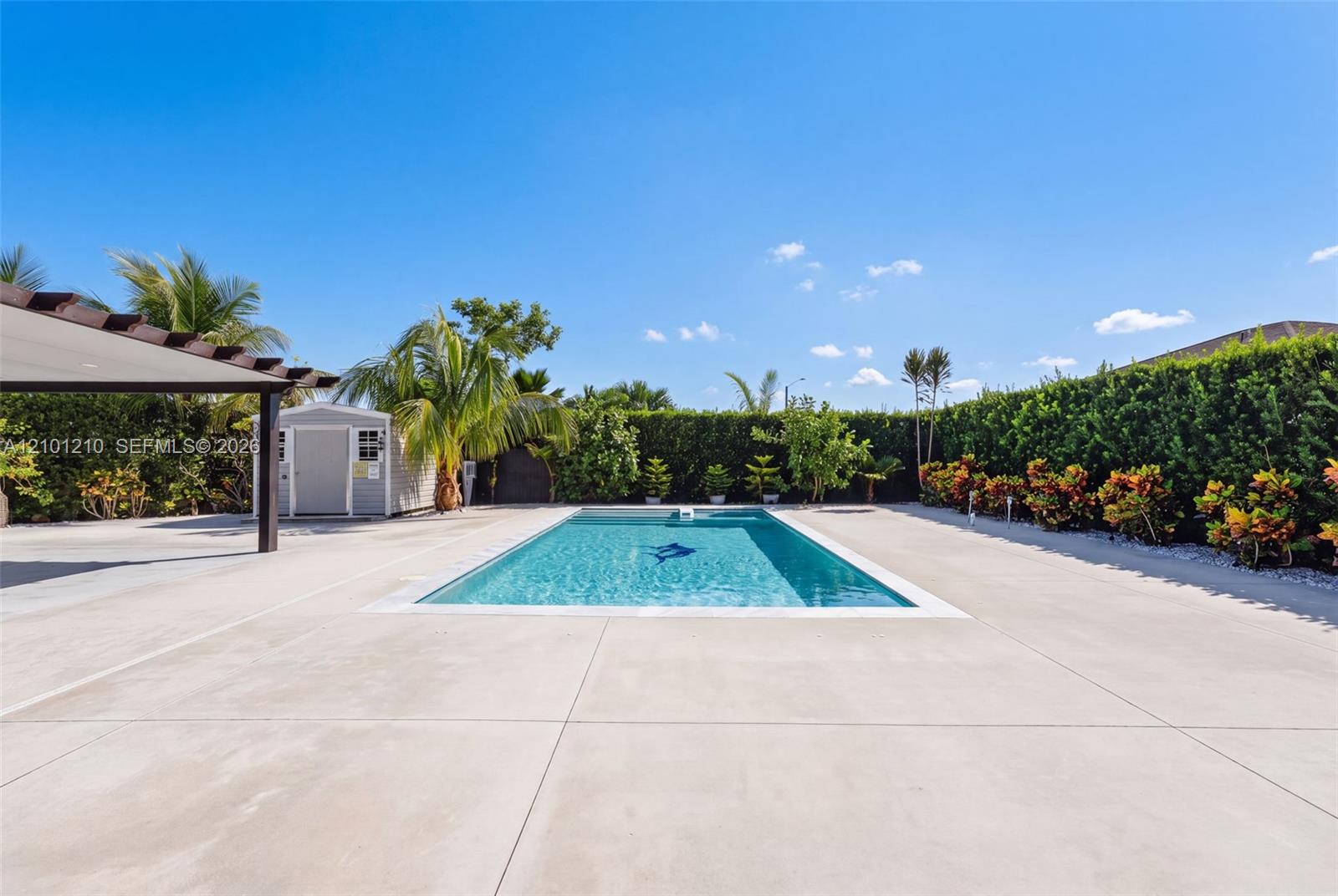 Backyard swimming pool with a covered patio, small shed, and tropical landscaping.