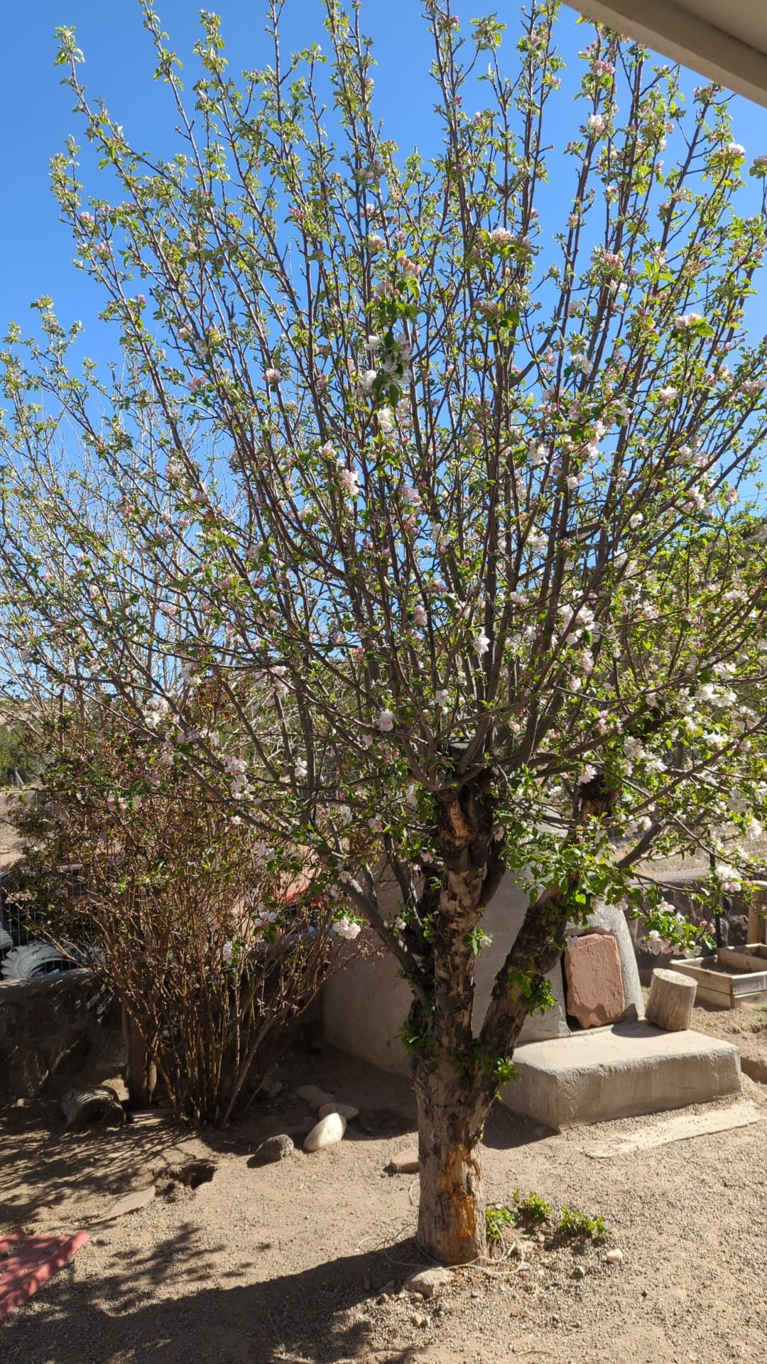 House 47 PD 1521, US Hwy 84-285