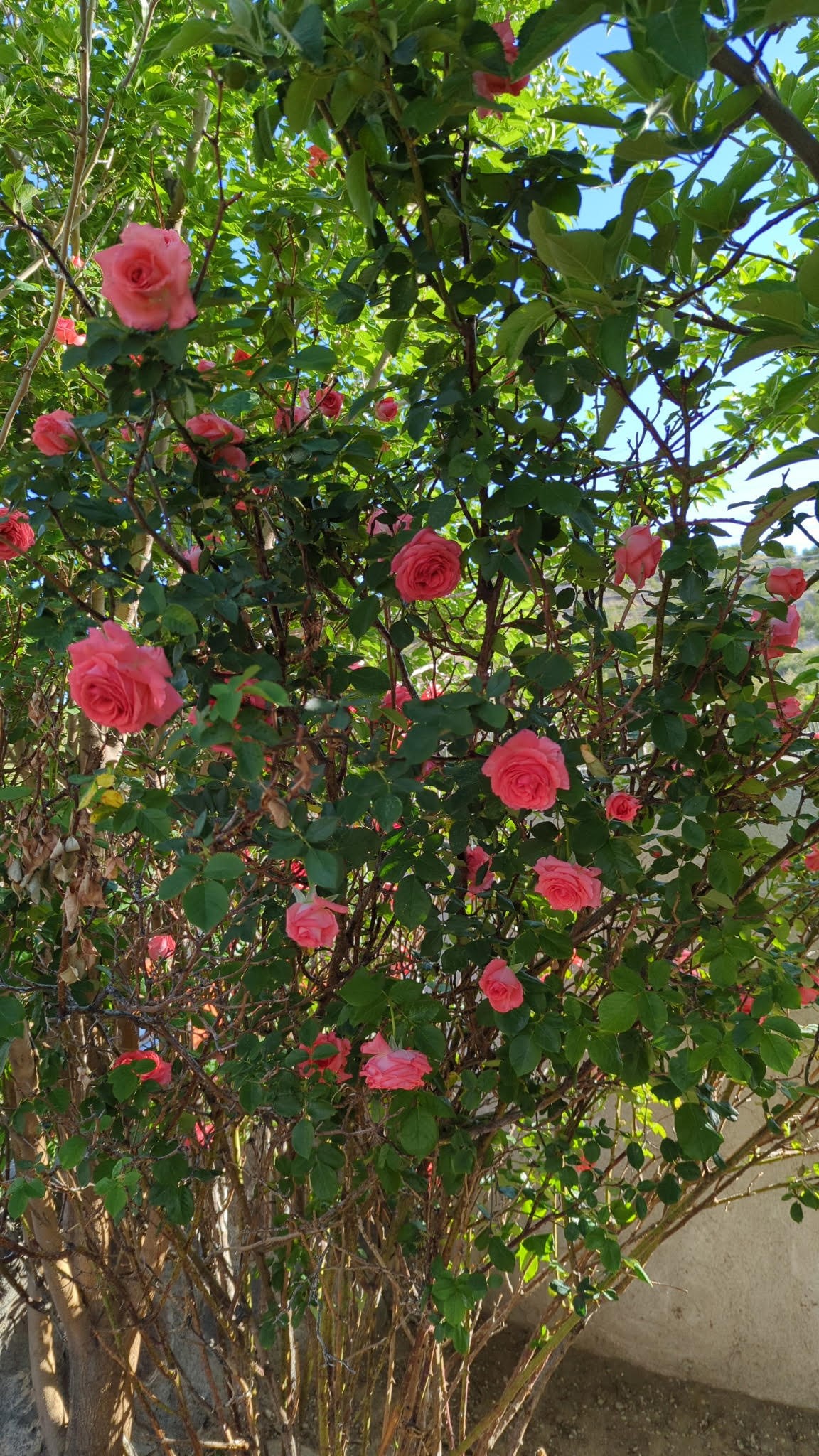 House 47 PD 1521, US Hwy 84-285