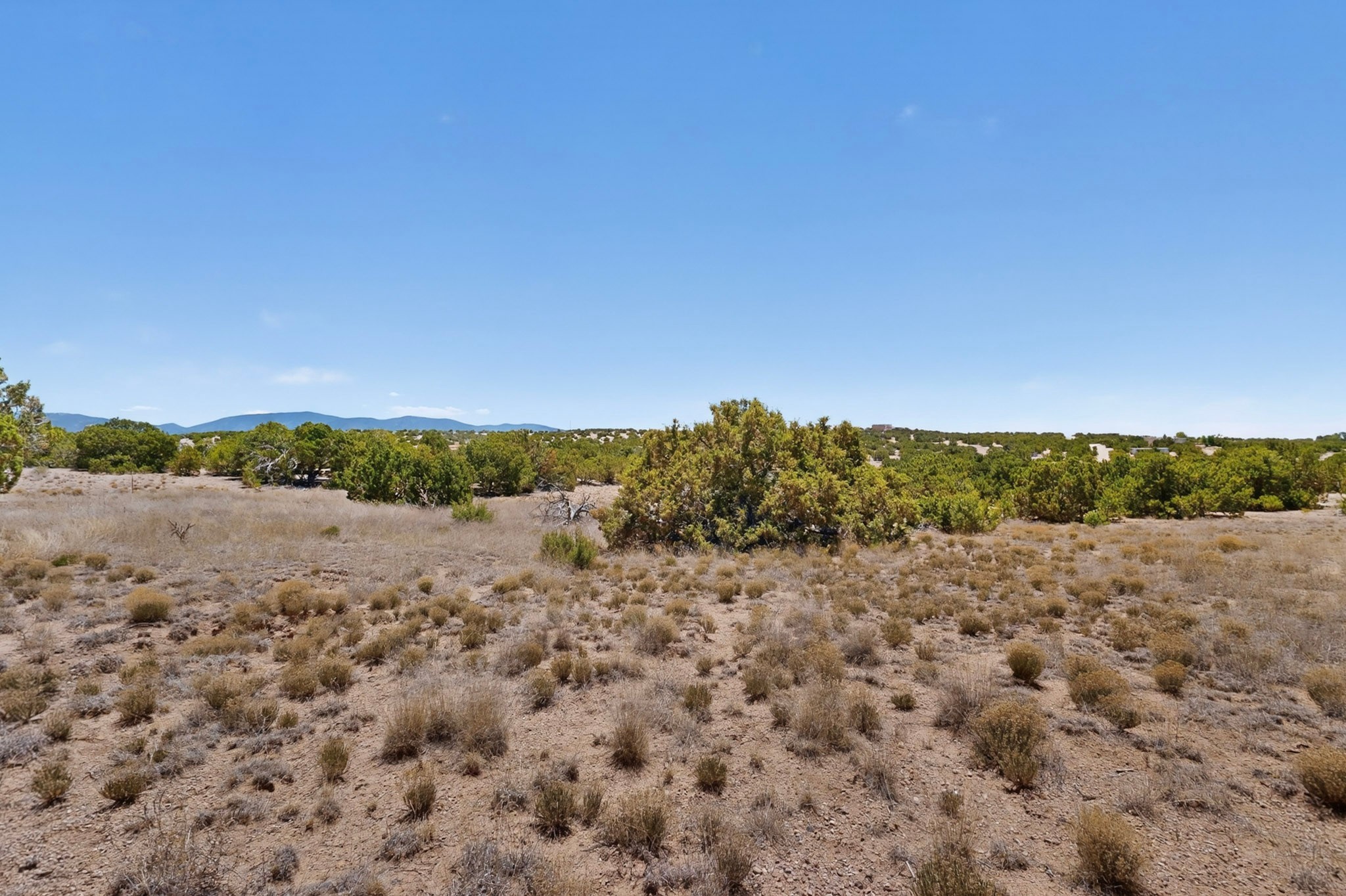 0 Blue Canyon Trail