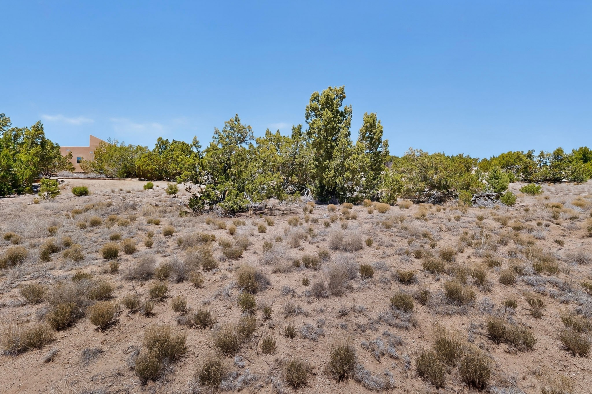 0 Blue Canyon Trail