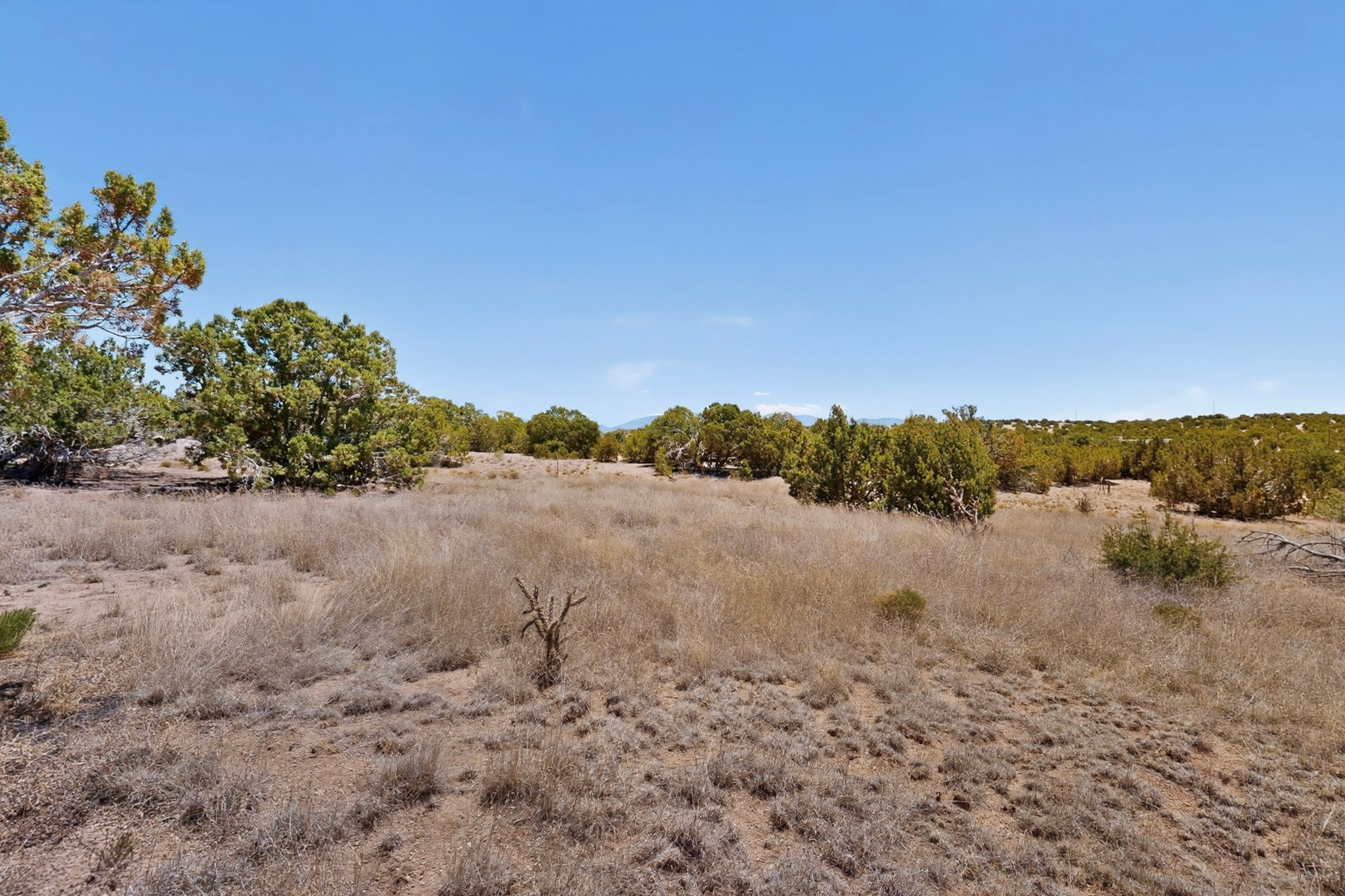 0 Blue Canyon Trail