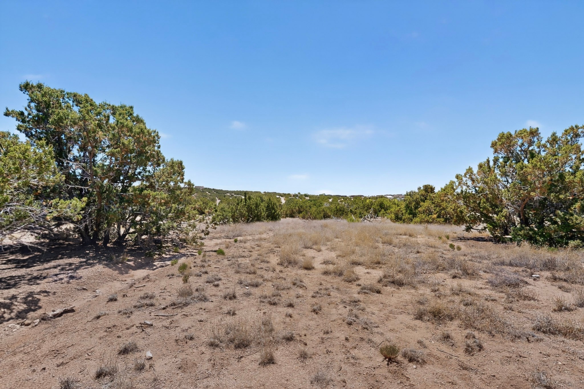 0 Blue Canyon Trail