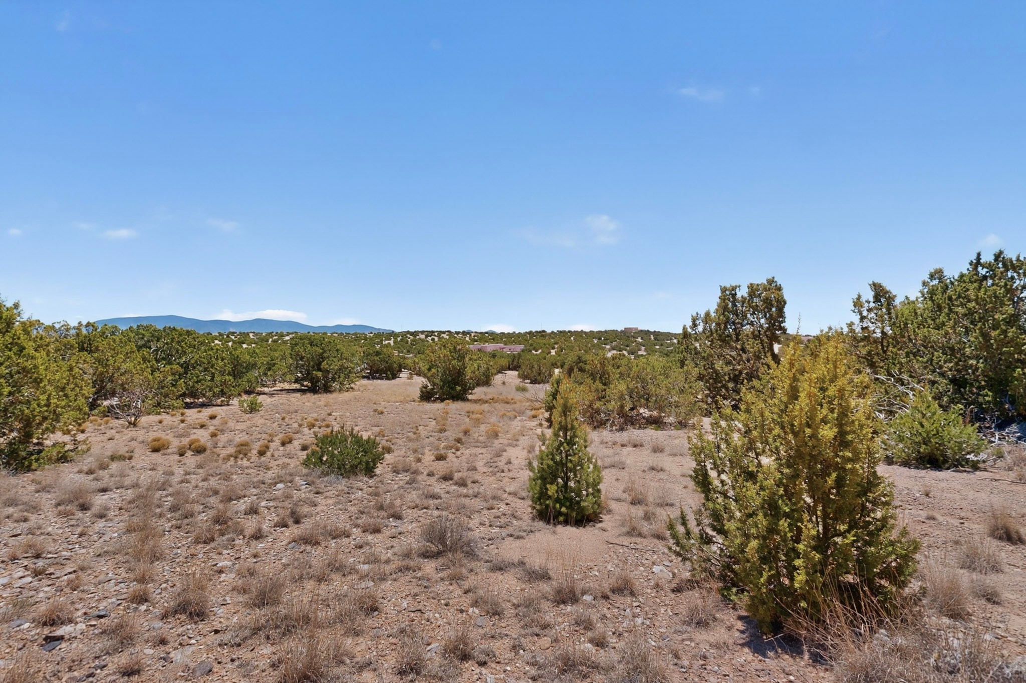 0 Blue Canyon Trail