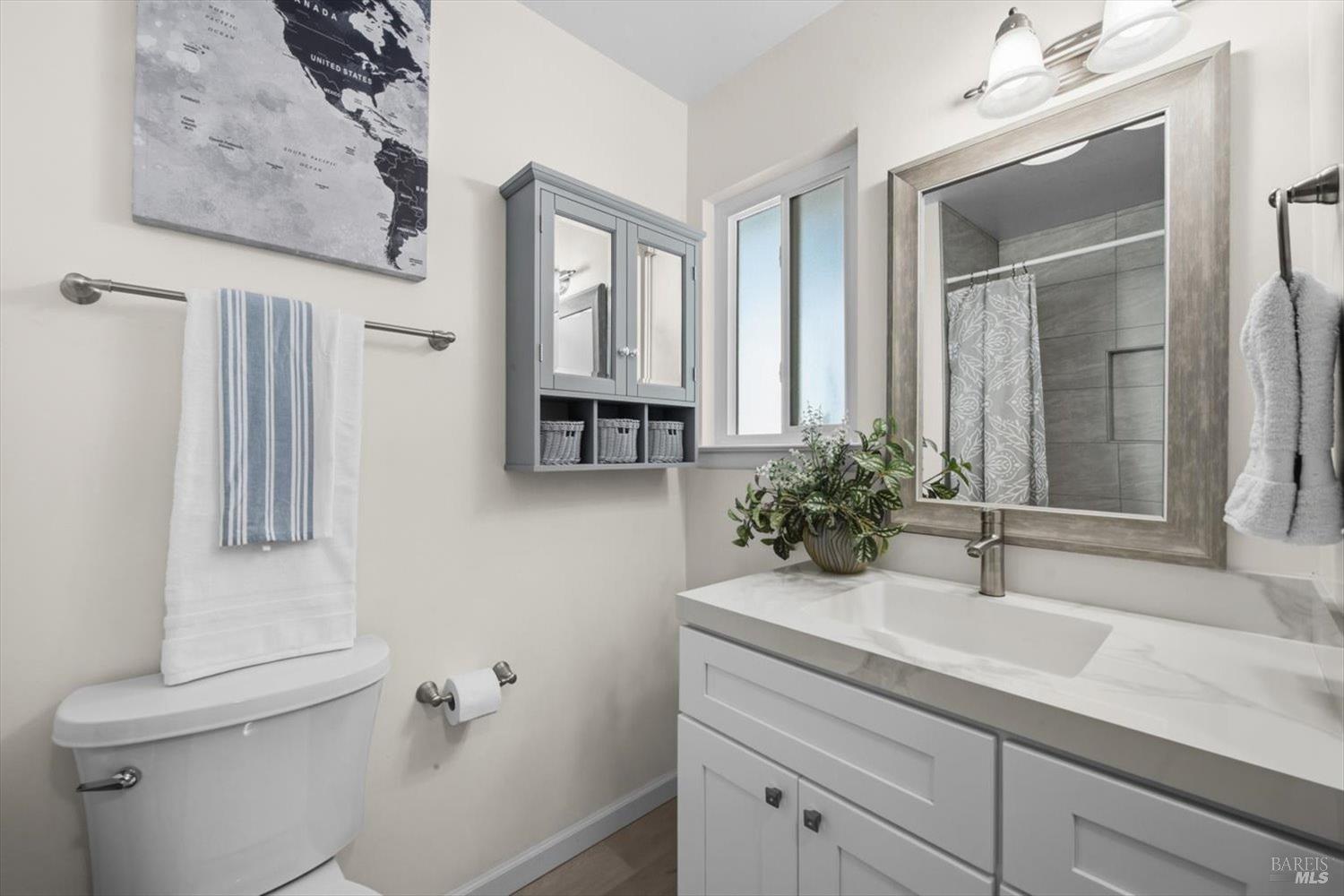 Bathroom with a white vanity, gray mirrored cabinet, and map print above the toilet.