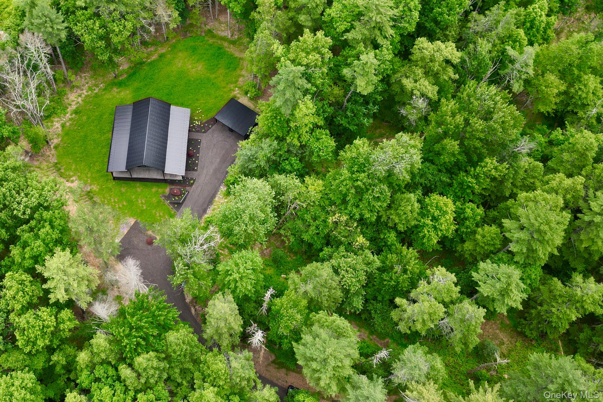 Secluded Tannadine Pines