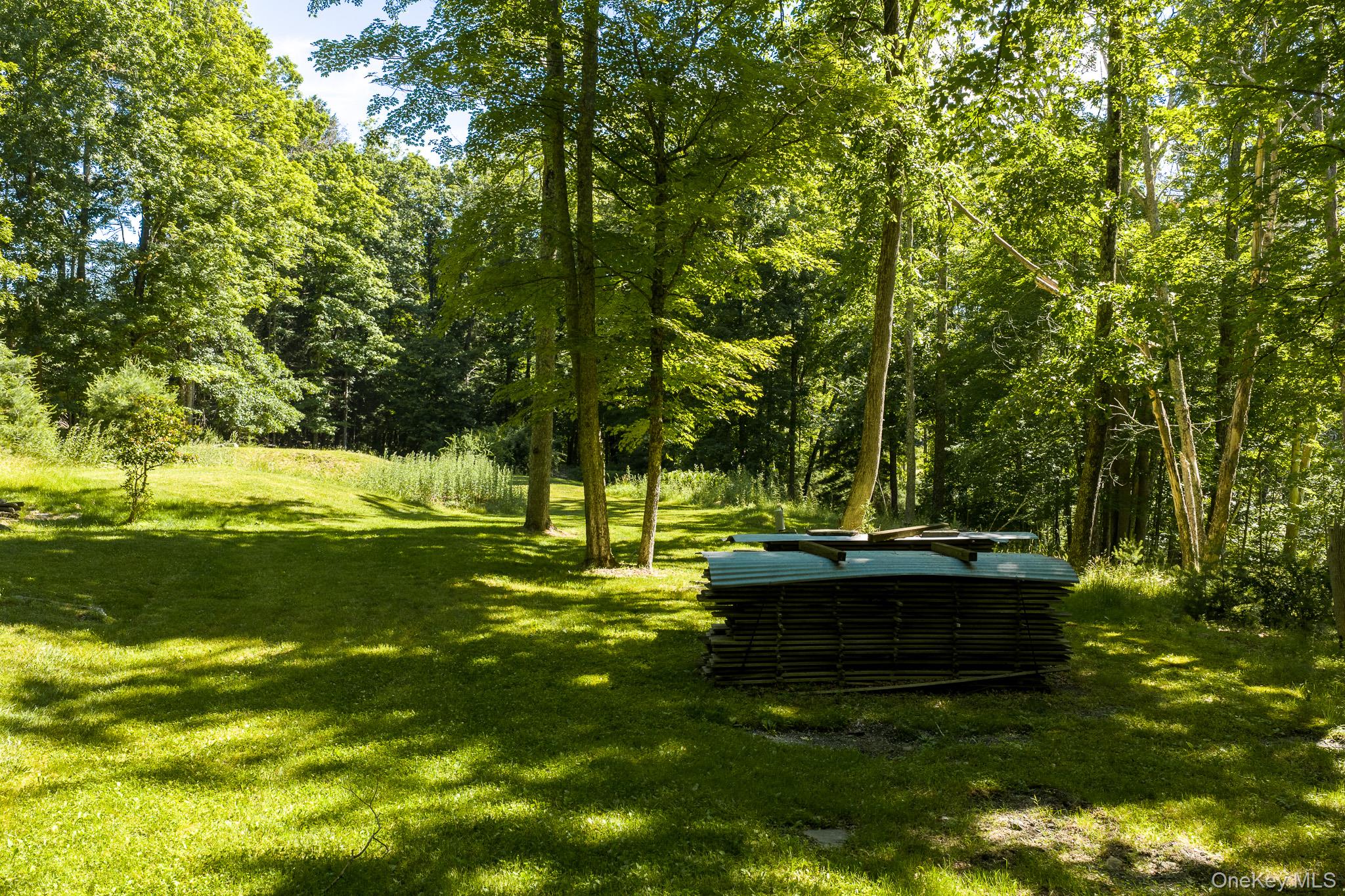Buildable Buck Road