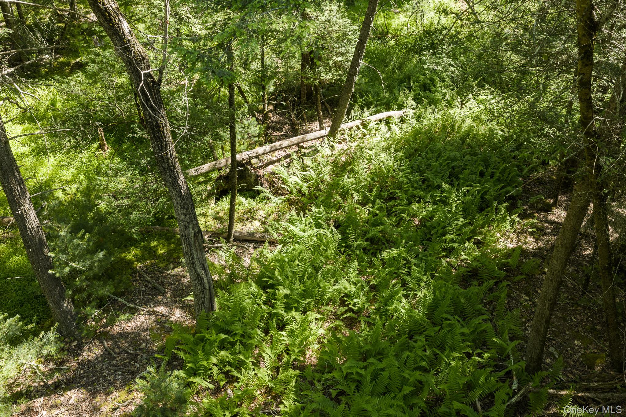 Buildable Buck Road