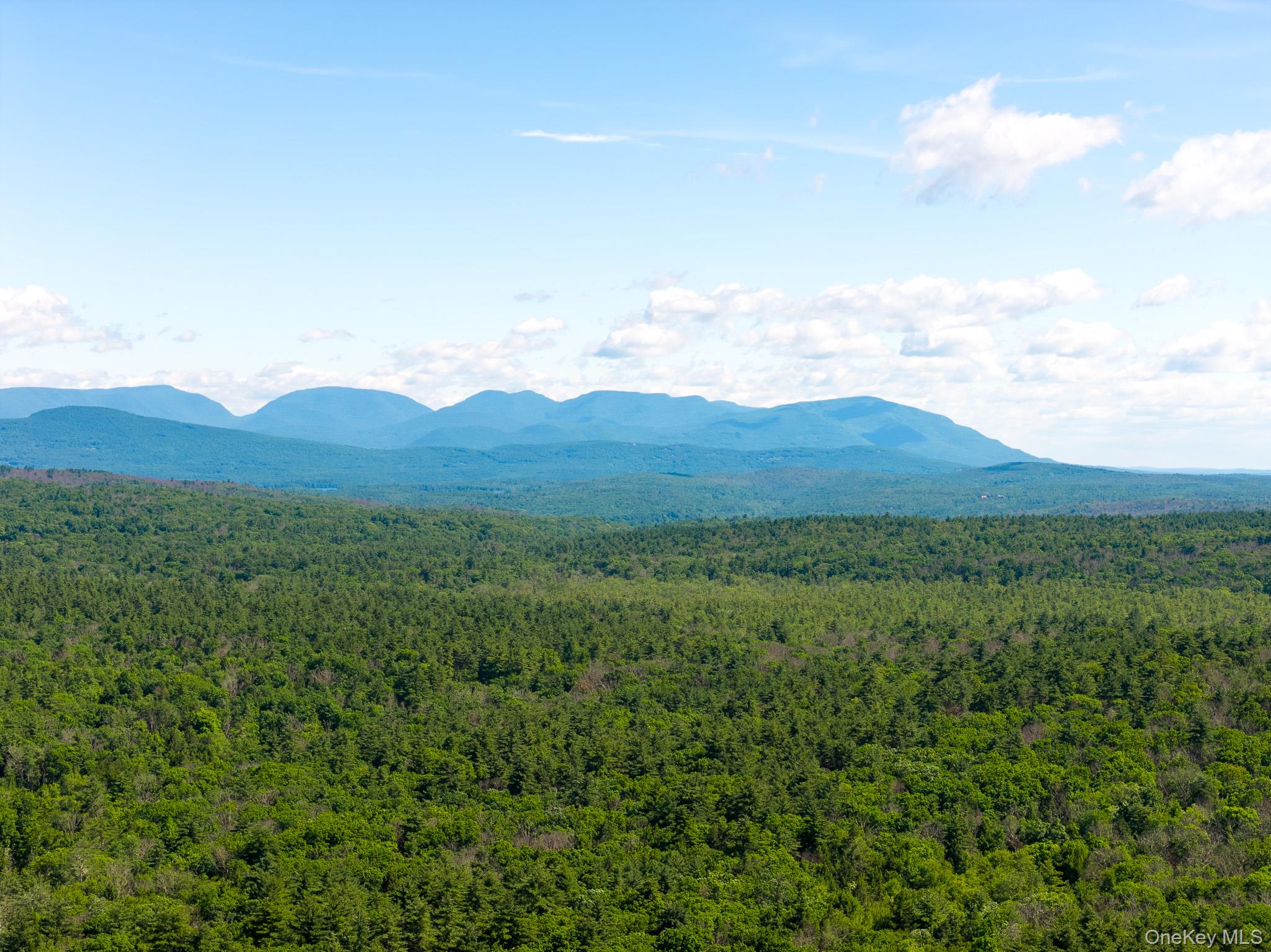 Diverse Landscape with Potential