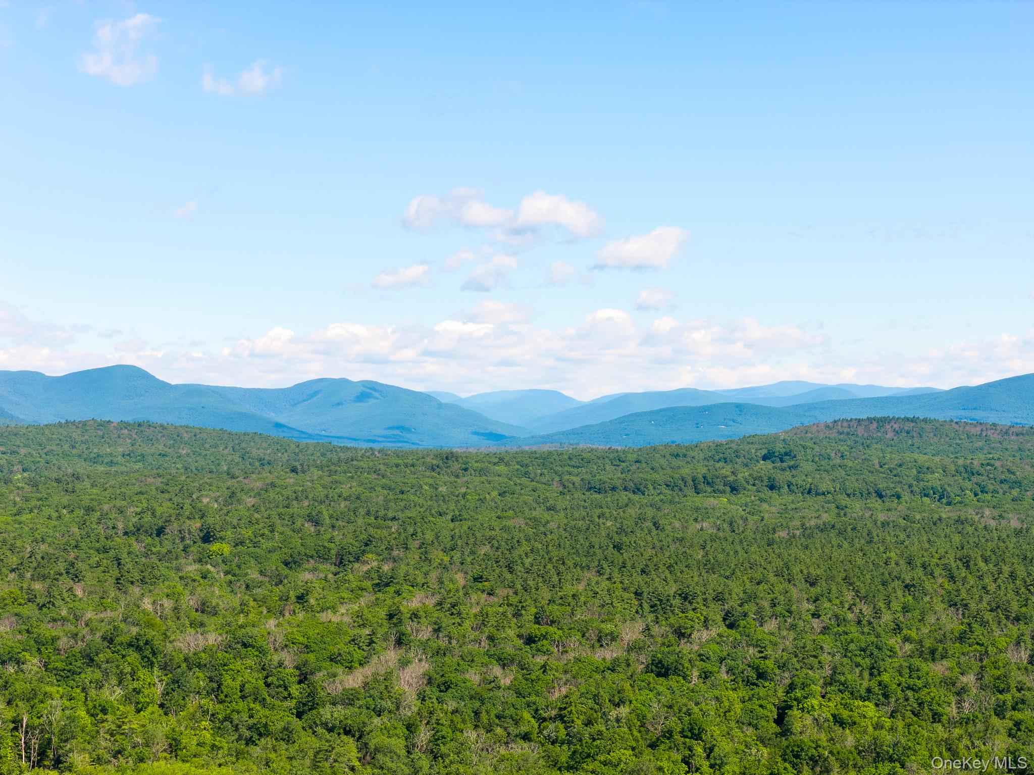 Diverse Landscape with Potential
