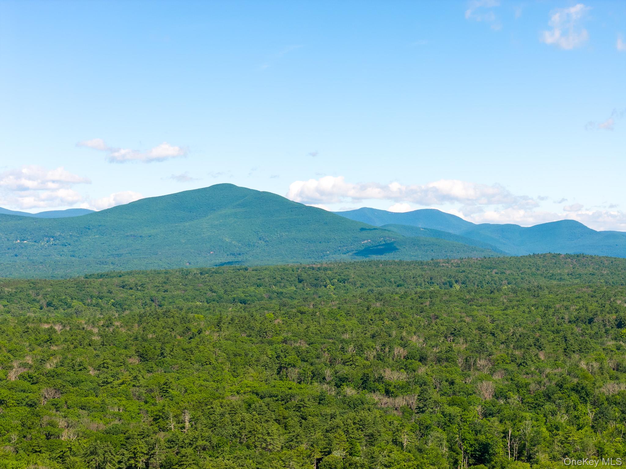 Diverse Landscape with Potential