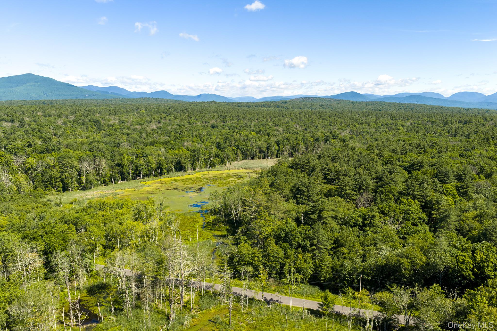 Diverse Landscape with Potential