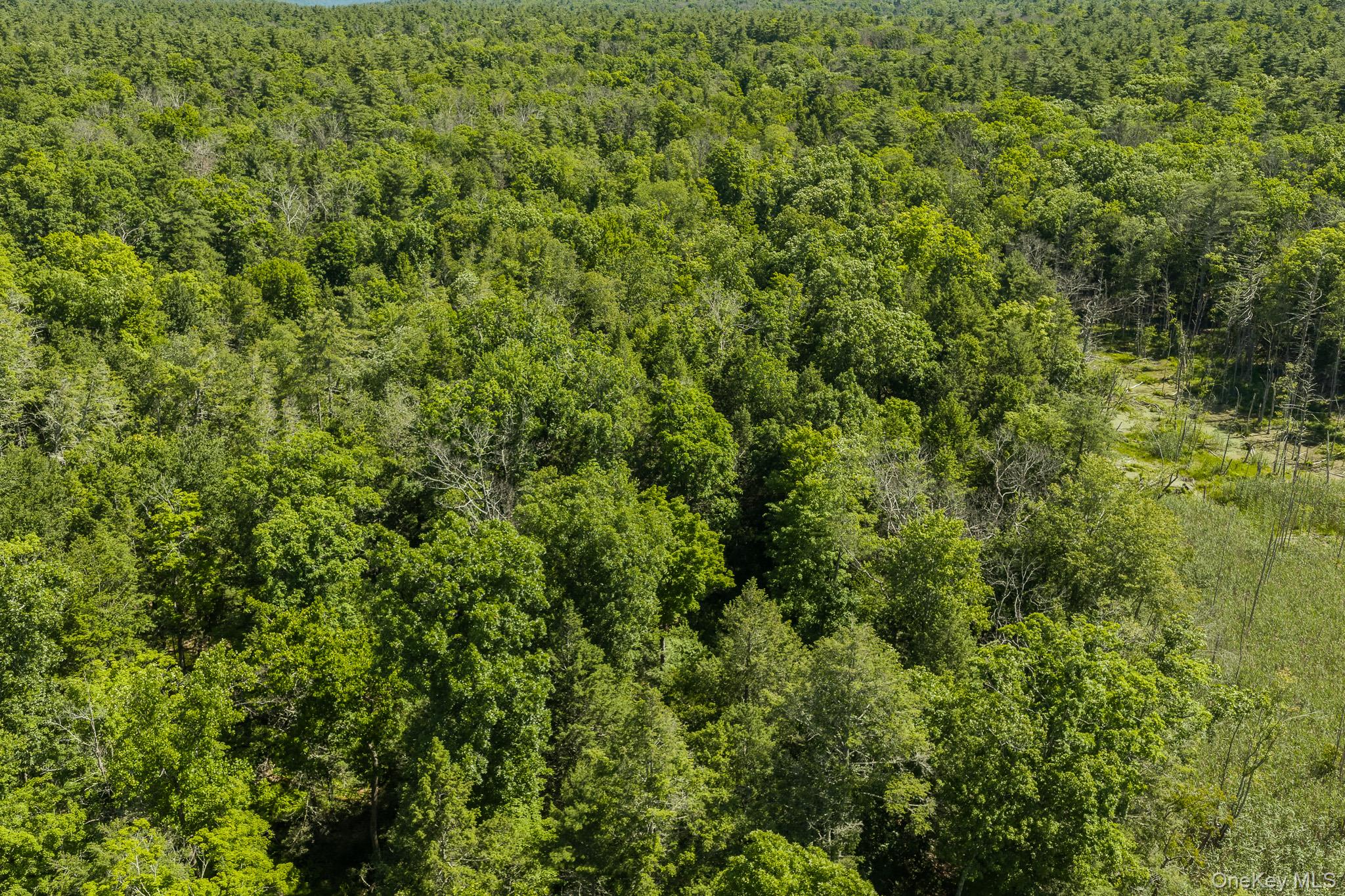 Diverse Landscape with Potential