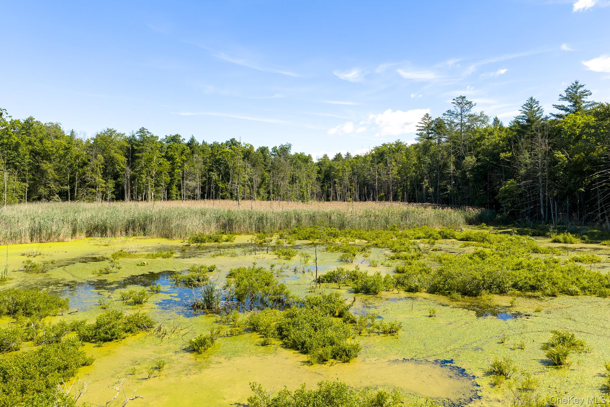 Diverse Landscape with Potential